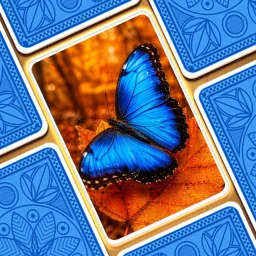 أيقونة Jigsaw Puzzle: Solitaire Zen
